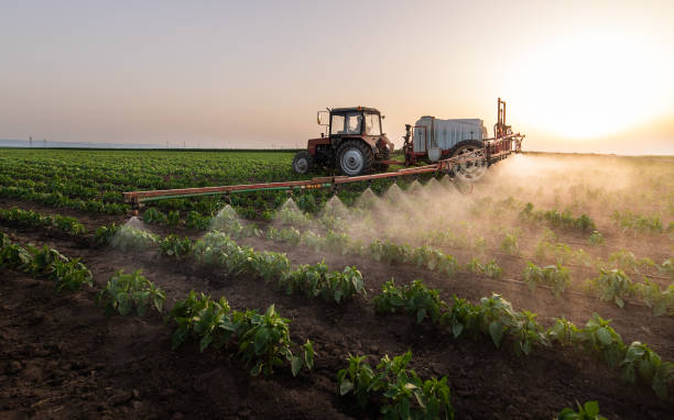 Best Insect Control  in Wakefield, KS